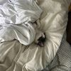 lizcleaningservice24