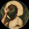 xm.alexander