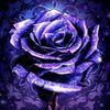 lydia_m_o_94
