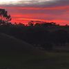 sunset_bloom22