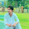 shahab.shinwari706