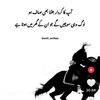 zabi..7