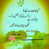 user5101610693985