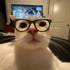 1nonlyravv_