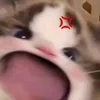 akeisha5600