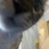 itsclear_01