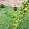 ali.bazine0