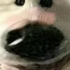 anhnn79