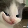 kiwngan_