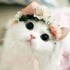 aiswa.channel