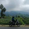 mas.wannn04