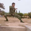 vinh.siu12