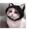ib4jwl_7