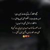 muhammadzohan4627