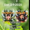 sanaullah113355