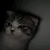 vruljshsvekw