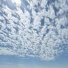 danik_770a