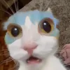 doraemon_cuchi