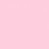 cwyzz.iraa