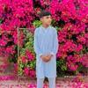 alihassanbutt337