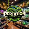 rep_tation_fascination