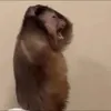 shhh.00.0