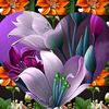 mohima.akther75