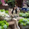 doanganquynh288