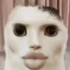 leehoangqun