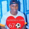 alfredocanini905