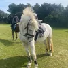 eseni.equ
