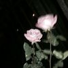 cicu73
