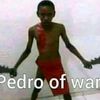 yipeee.pedro