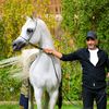 Ali SOBHY