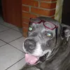 el_samuelitos