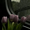 fa3alkhire