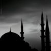 user2120770195382