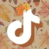 alina.bucher7