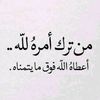 user5381460561041