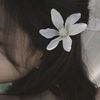 luniexly