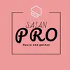 saian_pro7