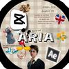 aria2418