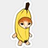 banini_blood