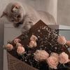 fatimashtewi88