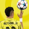fotbooll43