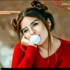 191anayamalik