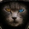 user2211128281684lubov74