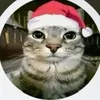 nonrox__