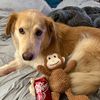 daggywaggyy