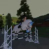 dino.and.horses